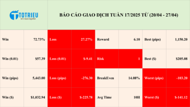 Báo cáo kết quả giao dịch tuần 17/2025 (21/04 - 27/04)